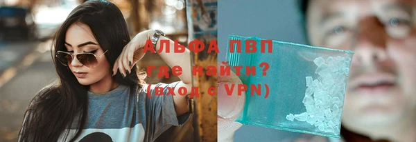 индика Грязи