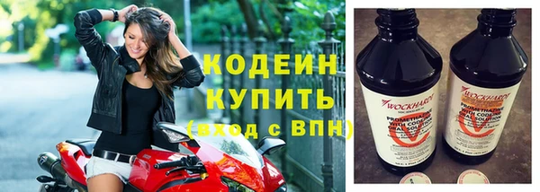 гидра Новозыбков