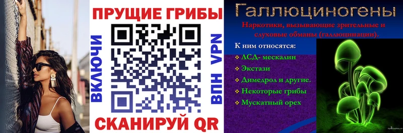 Псилоцибиновые грибы Psilocybine cubensis  Певек 