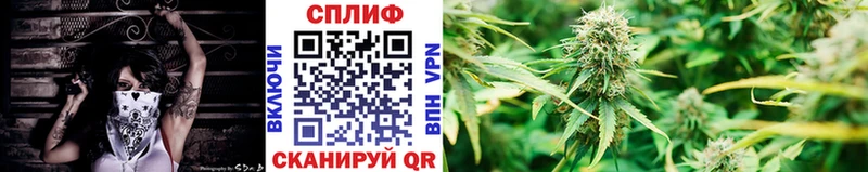 Бошки марихуана сатива  kraken tor  Певек 